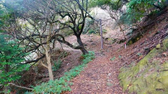 和歌山要塞島に行ってきたので写真をうpする_67108863