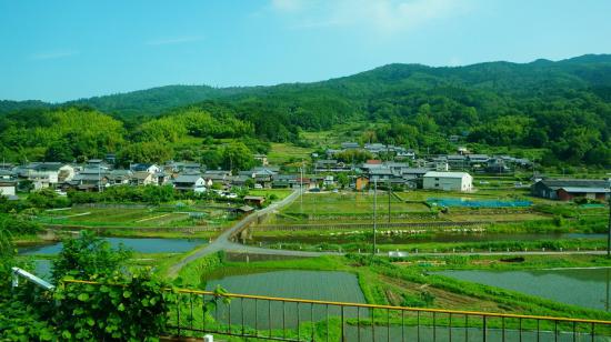 奈良明日香村と高取城跡に行ってきたので写真をうpする_255