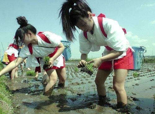 【画像あり】お前ら大好き夏の田舎スレ_65535