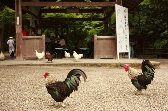 御朱印ツーリング（伊勢神宮編：破）行ってきたから写真うｐする。_4095