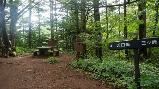 三つ峠山と浅間隠山に行ってきたので写真をうpする_4095