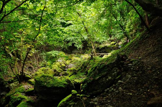 【画像】晩夏の奥秩父を満喫してきたから色々貼ってく_4095