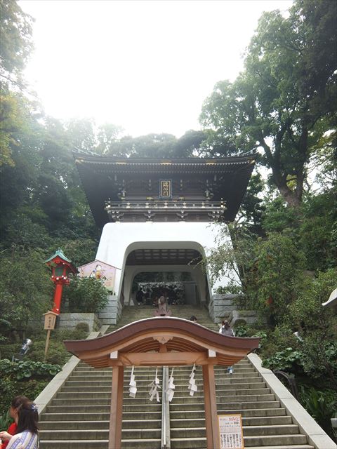 江ノ島行ってきたから猫とか神社とか適当にはってく_255