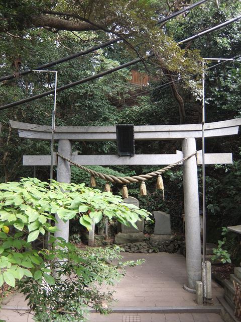 江ノ島行ってきたから猫とか神社とか適当にはってく_4095