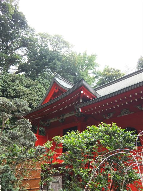 江ノ島行ってきたから猫とか神社とか適当にはってく_65535