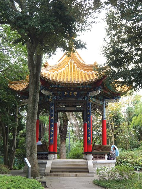 江ノ島行ってきたから猫とか神社とか適当にはってく_131071