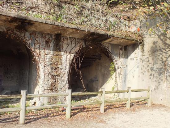 大久野島に行って来たから写真うｐする_255