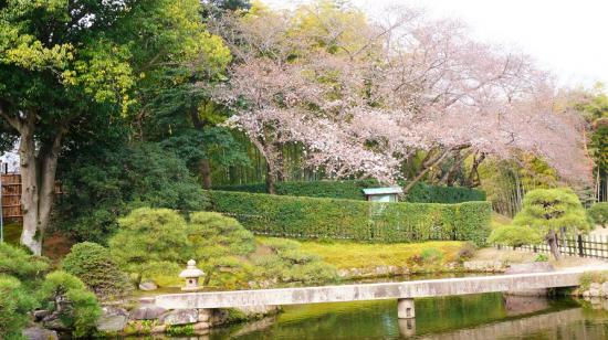 岡山市方面に日帰りで行ってきたので写真をうpする_131071