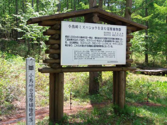 北陸新幹線開通したし能登半島行ってきたったｗｗｗｗｗｗｗ_63