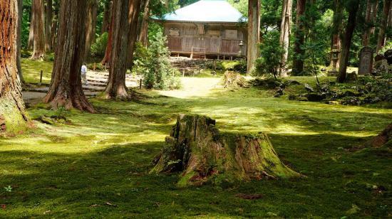 日帰りで福井県北部(奥越地方)に行ってきたのでうpする_1