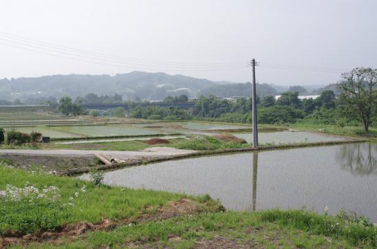 山形、福島のローカル線に乗ってきたから写真うpする_4194303