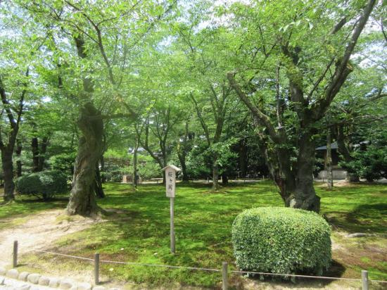 【金沢・能登】ものすごい勢いで北陸を一人旅してきた【富山】_536870911