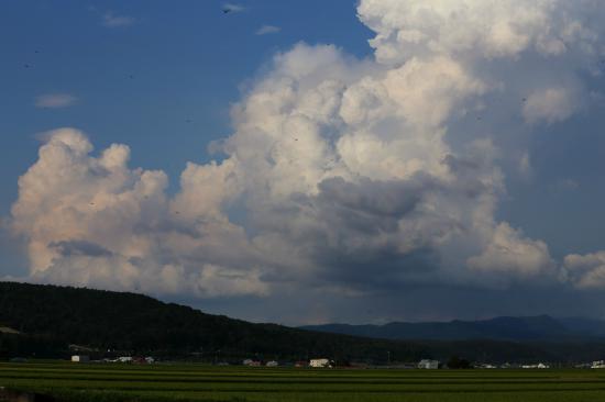 北海道に行ってきたから写真うｐするスレ_4194303