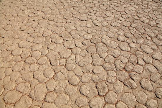 【画像】砂漠の風景を置いておきます_34359738367