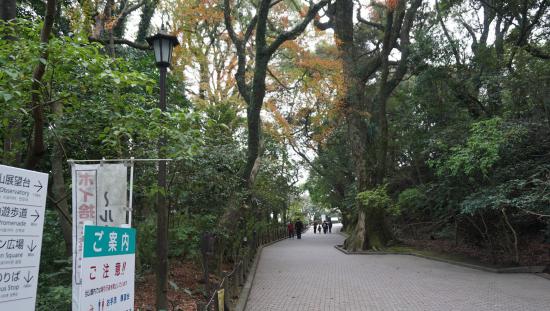 屋久島に行って来たのでうpする_4095