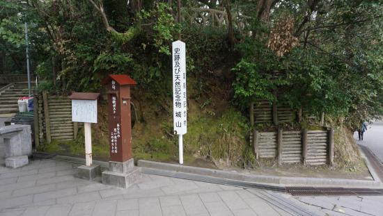 屋久島に行って来たのでうpする_16383