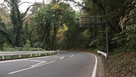 屋久島に行って来たのでうpする_131071