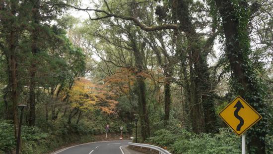 屋久島に行って来たのでうpする_262143