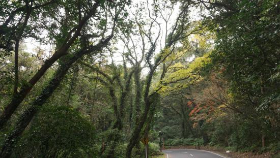 屋久島に行って来たのでうpする_524287