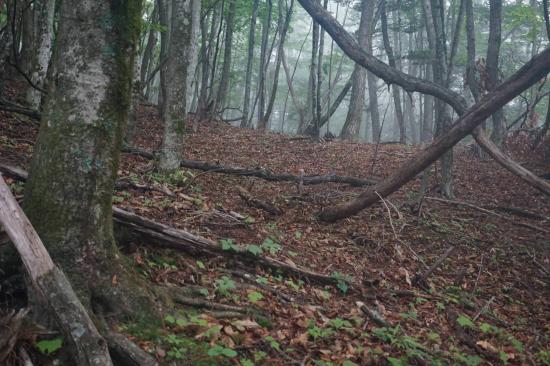 南アルプスの山に登って来た_15