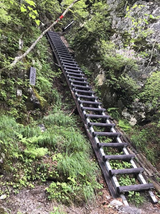 南アルプスの山に登って来た_255